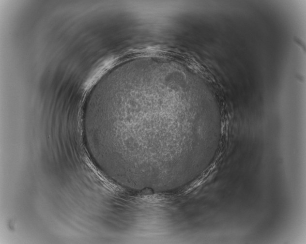 X0000100370341200806201633