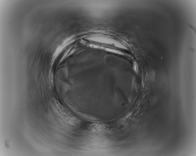 X0000100370343200806201633