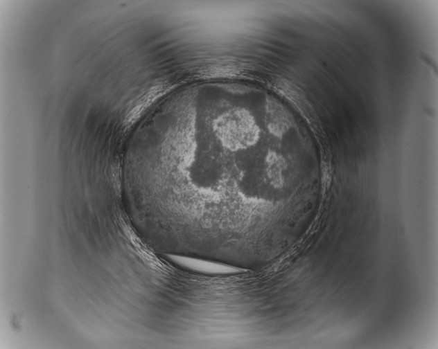 X0000100370345200806201633