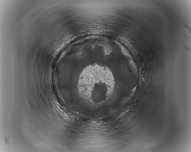 X0000100370346200806201633