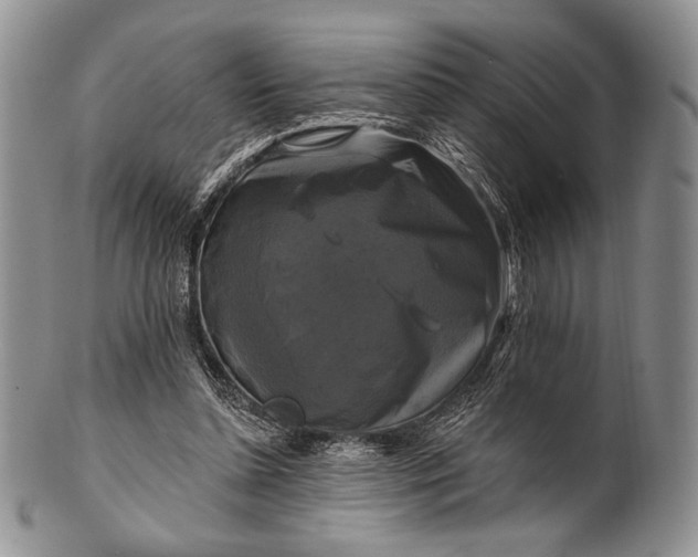 X0000100370348200806201633