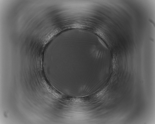 X0000100370349200806201633