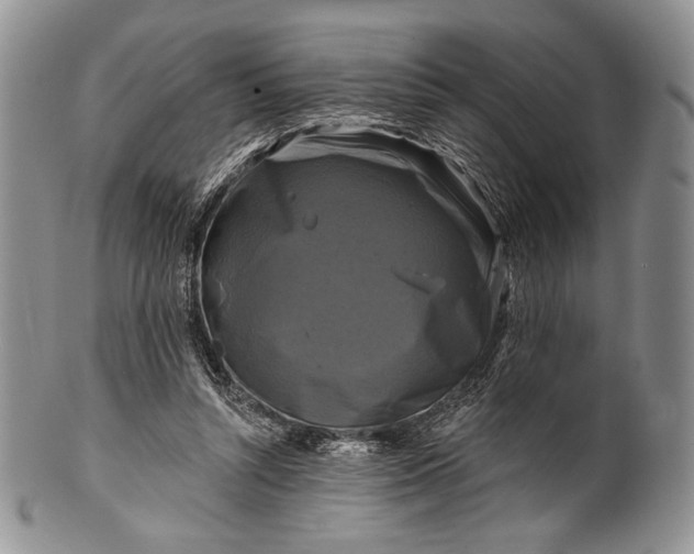 X0000100370352200806201633