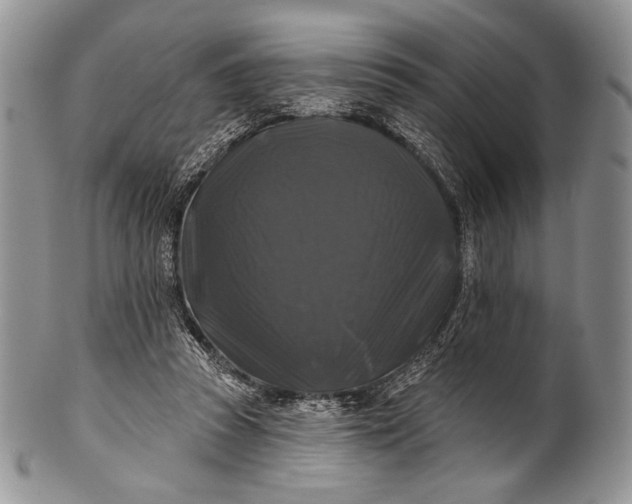 X0000100370353200806201633