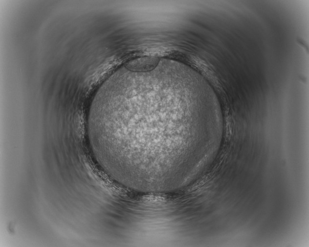 X0000100370354200806201633