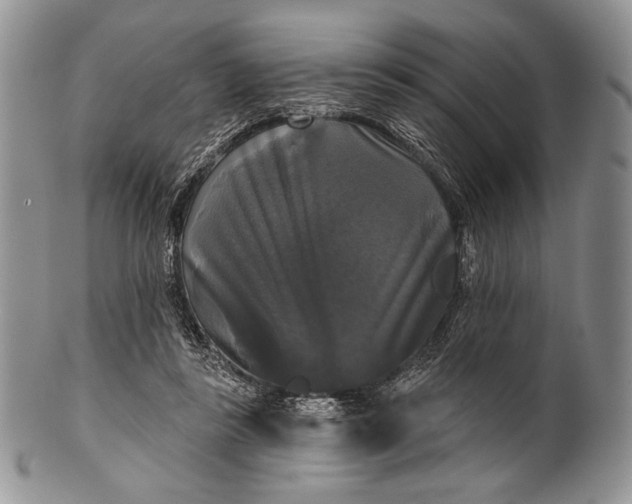 X0000100370355200806201633