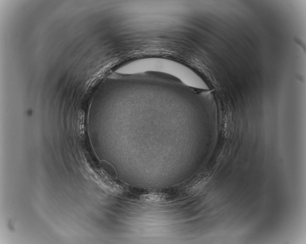 X0000100370356200806201633