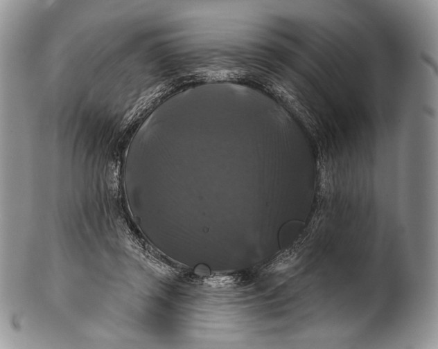 X0000100370357200806201633