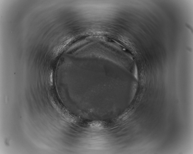 X0000100370358200806201633