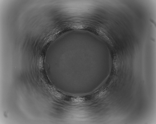 X0000100370359200806201633