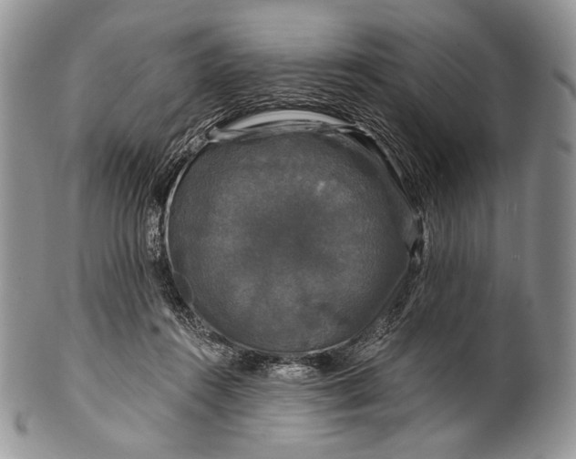 X0000100370360200806201633