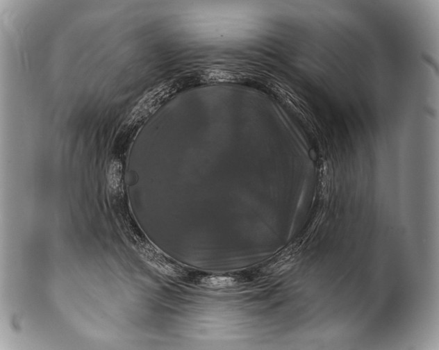 X0000100370361200806201633