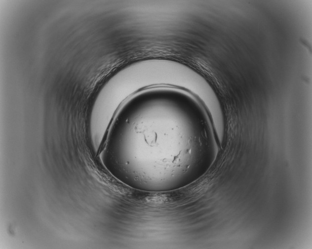 X0000100370362200806201633