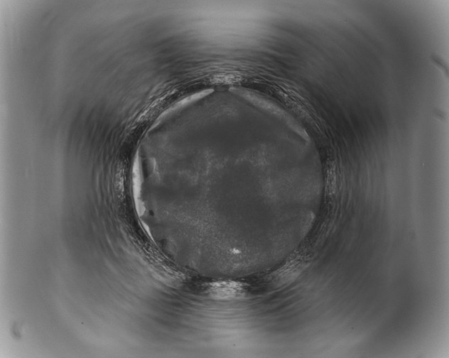 X0000100370363200806201633