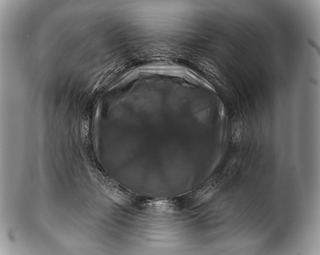 X0000100370365200806201633