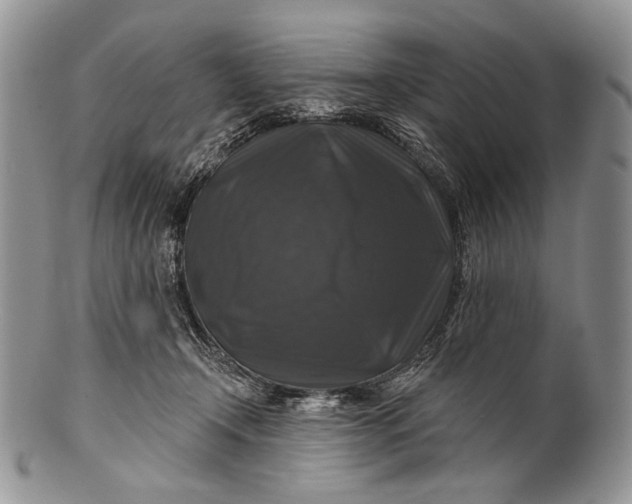 X0000100370366200806201633