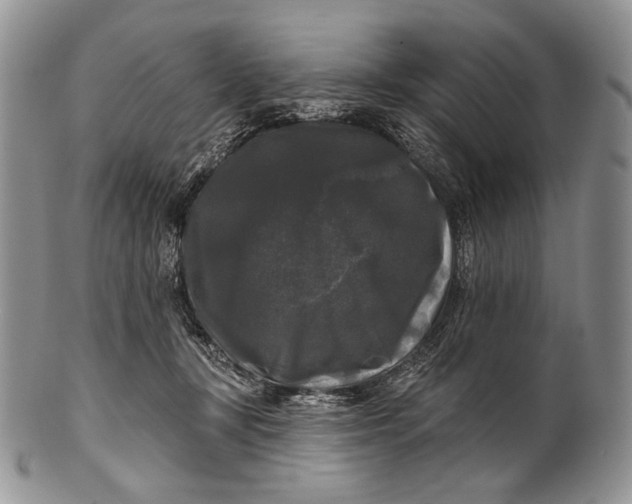 X0000100370367200806201633