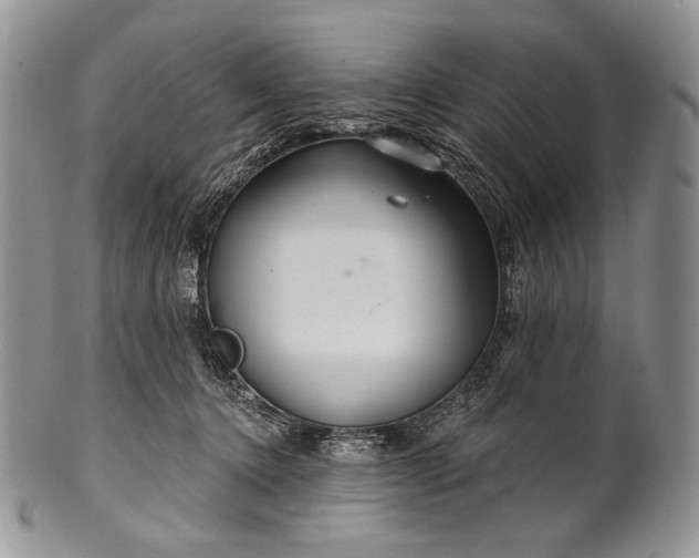 X0000100370368200806201633