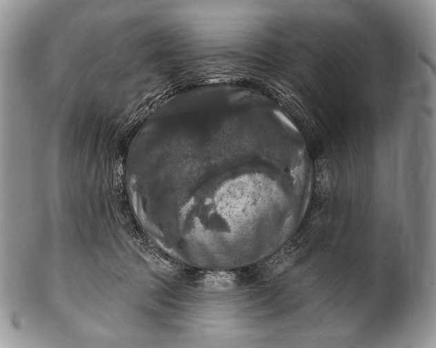 X0000100370369200806201633