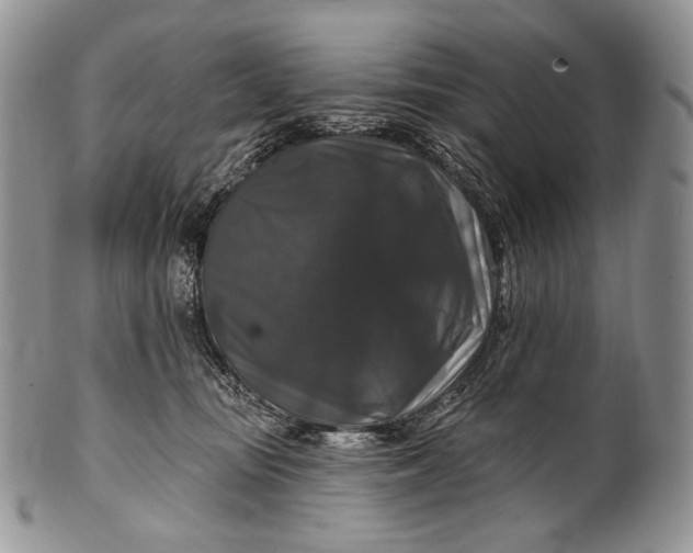 X0000100370371200806201633