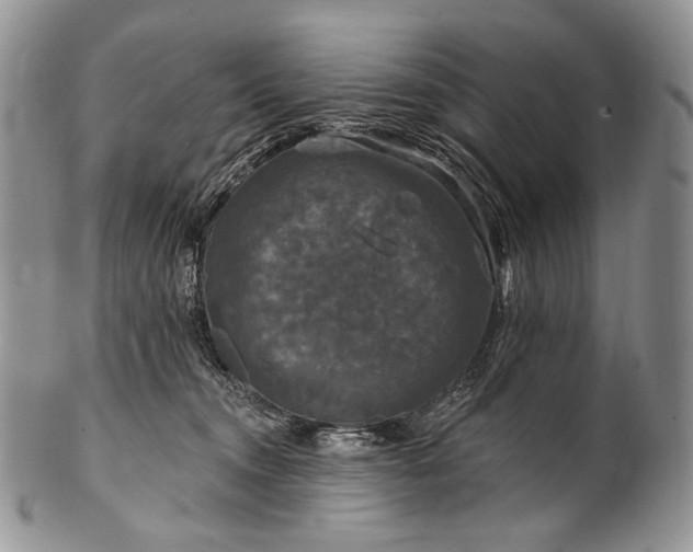 X0000100370372200806201633