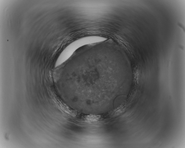 X0000100370373200806201633