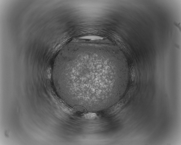 X0000100370374200806201633