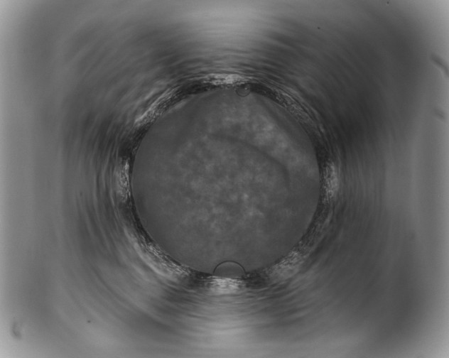 X0000100370376200806201633