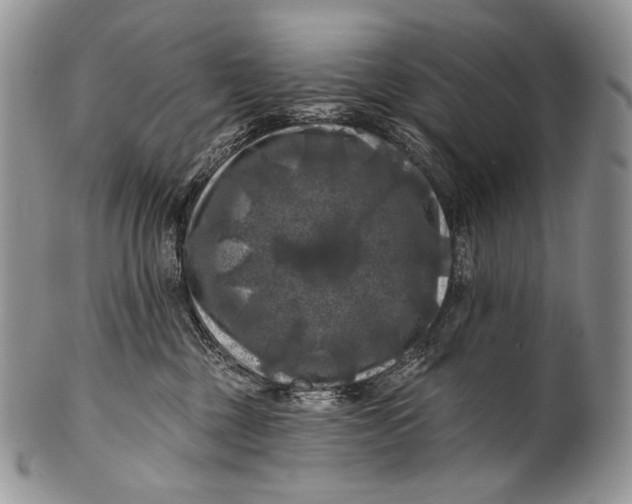 X0000100370377200806201633