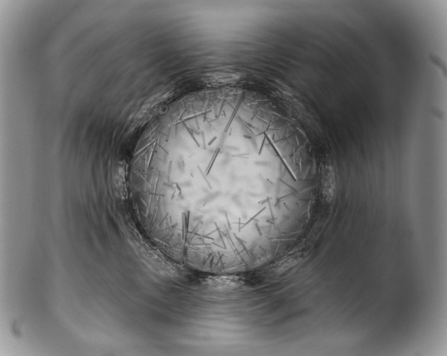 X0000100370378200806201633