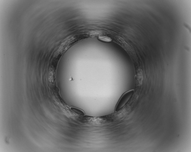 X0000100370379200806201633