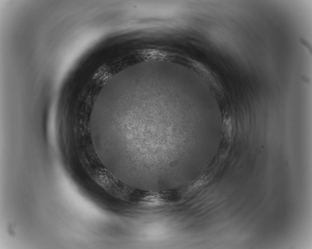 X0000100370381200806201633