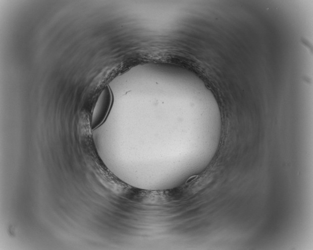 X0000100370384200806201633