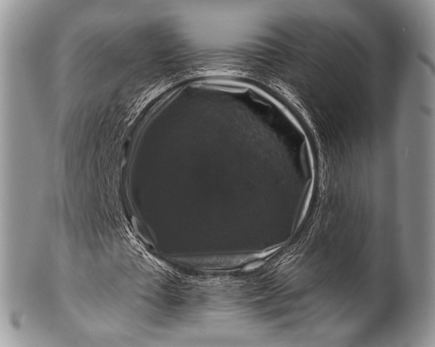 X0000100370385200806201633