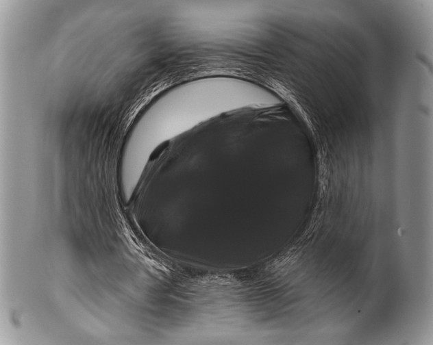 X0000100370386200806201633