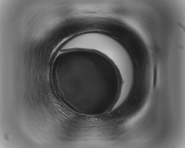 X0000100370387200806201633