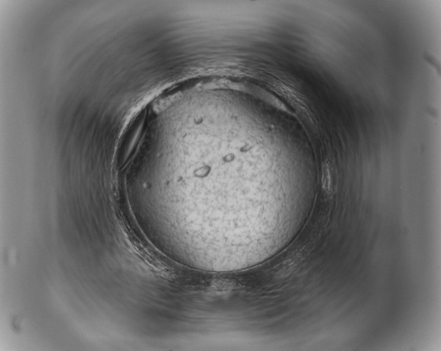 X0000100370388200806201633