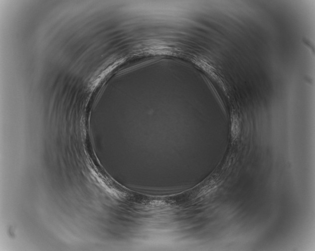 X0000100370390200806201633