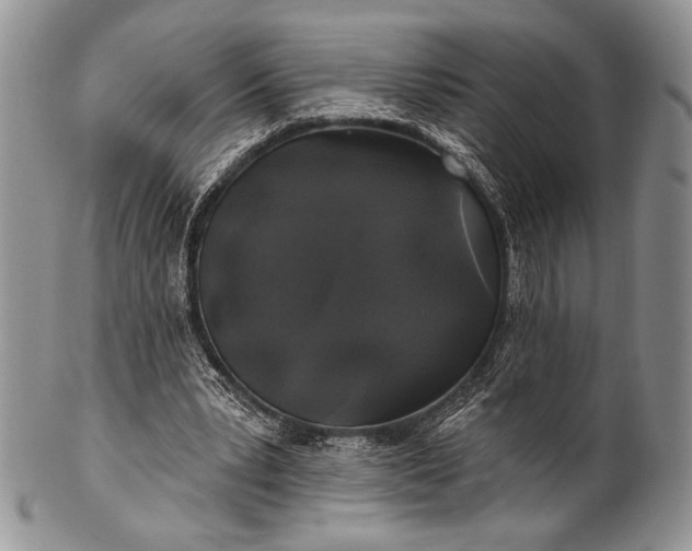 X0000100370391200806201632