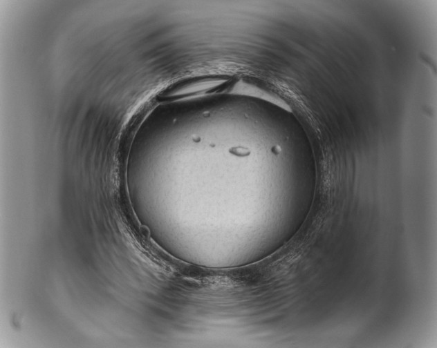 X0000100370392200806201632