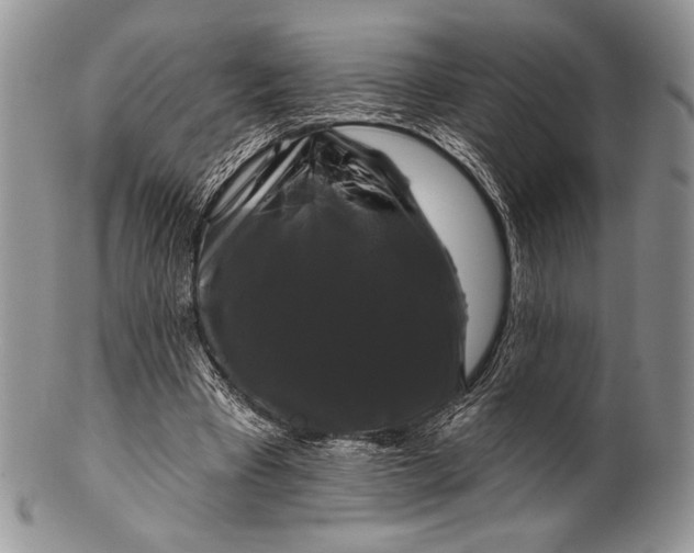 X0000100370393200806201632