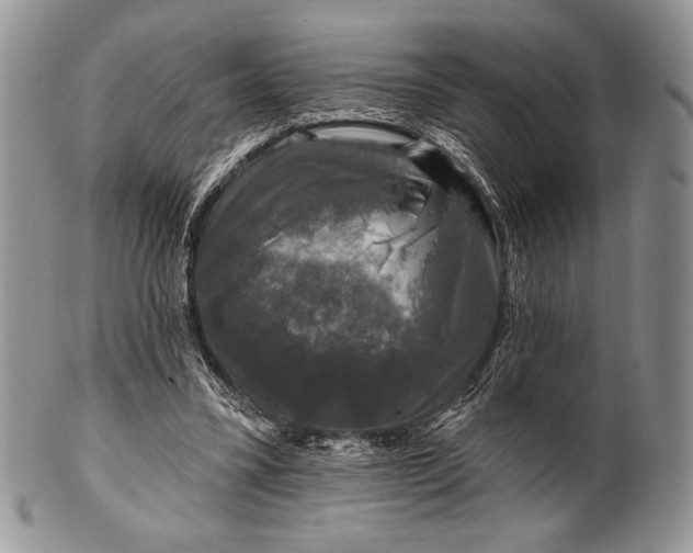 X0000100370395200806201632