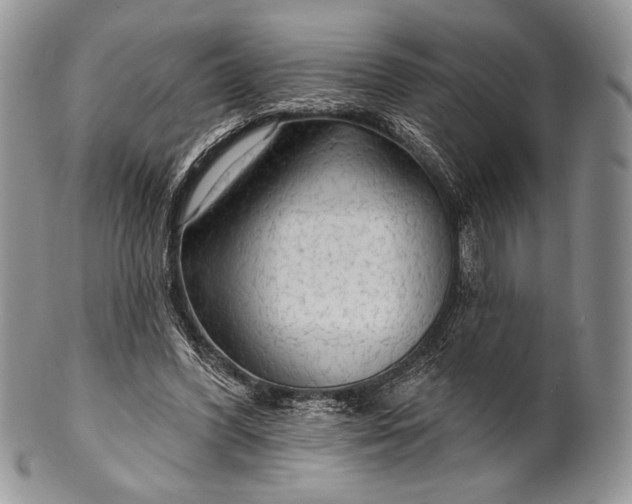 X0000100370396200806201632