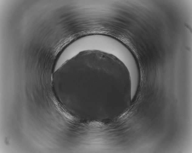 X0000100370397200806201632