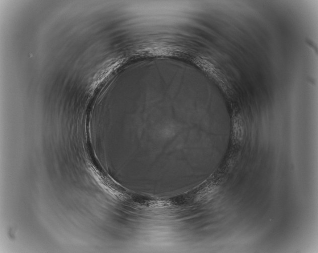 X0000100370398200806201632