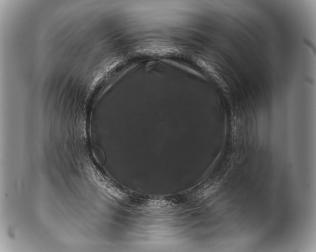 X0000100370399200806201632