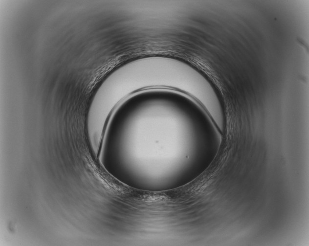 X0000100370401200806201632