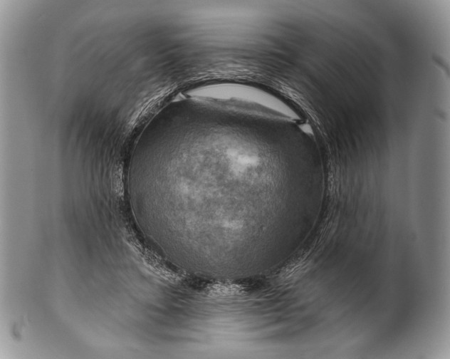 X0000100370403200806201632