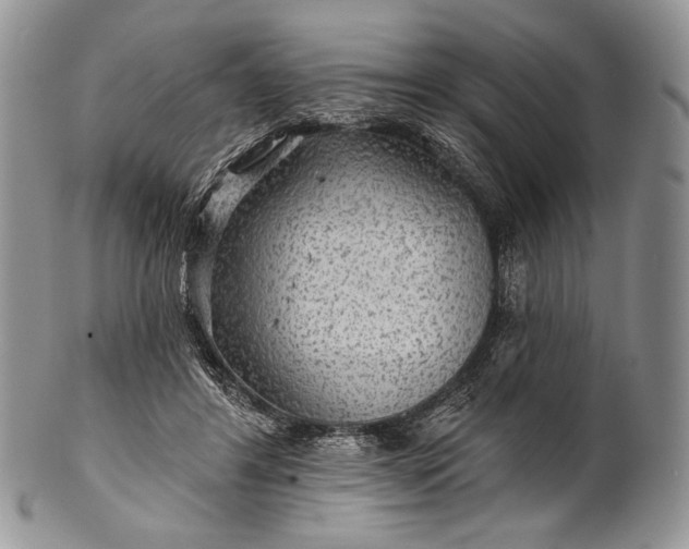 X0000100370404200806201632