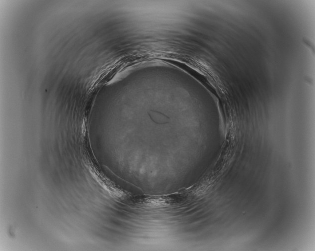 X0000100370405200806201632